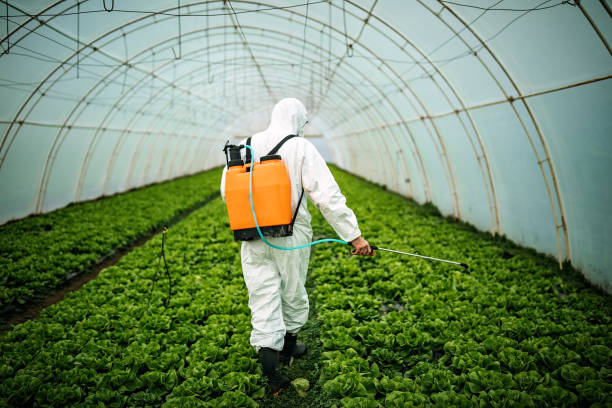 Best Best Pest Control Companies  in Edgard, LA