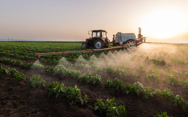 Best Wildlife Control Services  in Edgard, LA