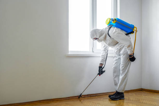 Best Affordable Pest Control Services  in Edgard, LA