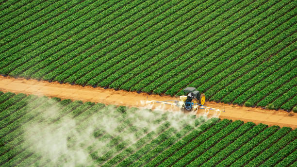 Best Commercial Pest Control Services  in Edgard, LA