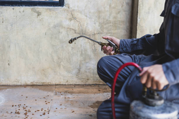 Best Affordable Pest Control Services  in Edgard, LA