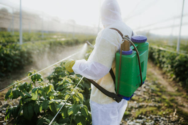 Best Emergency Pest Control  in Edgard, LA